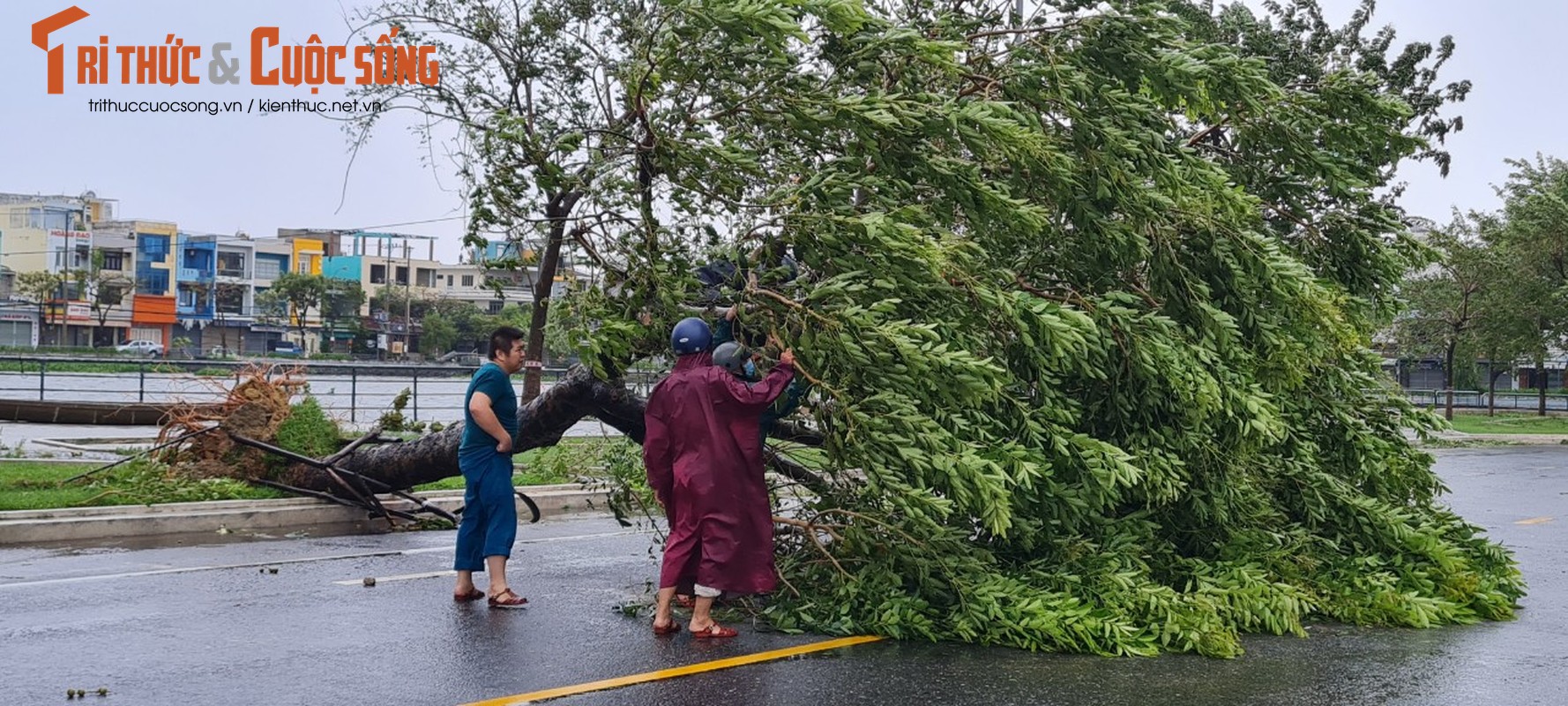 Hinh anh moi nhat tai Da Nang khi bao Noru di qua-Hinh-11