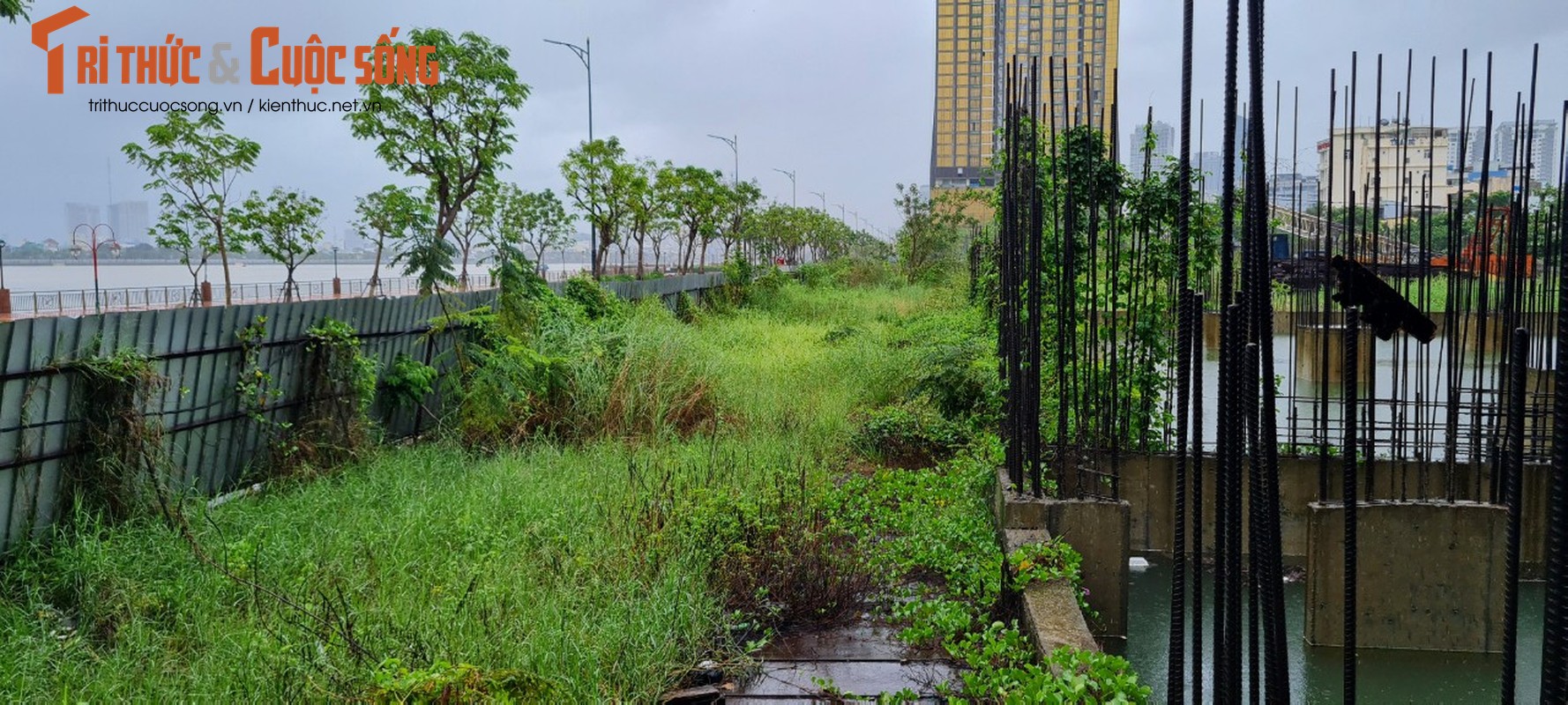 Can canh “dat vang” bo hoang giua trung tam Da Nang-Hinh-6