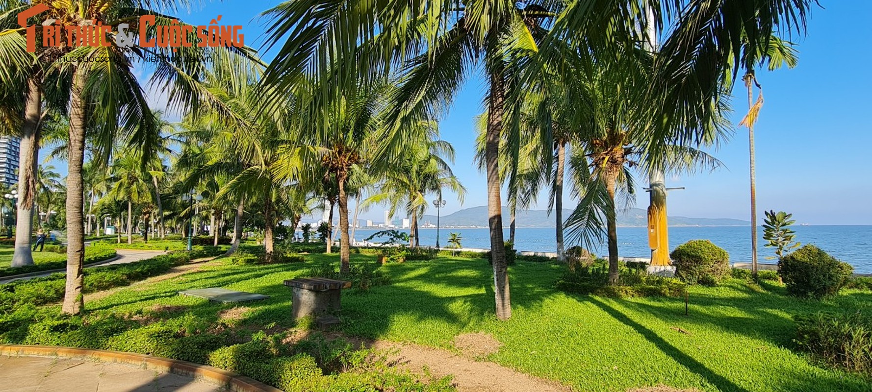 Quy Nhon: Toan canh cung duong ven bien day quyen ru-Hinh-7