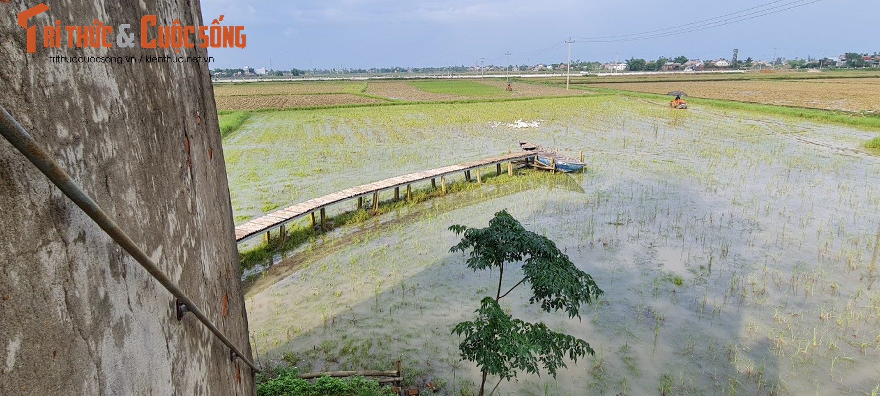 Check in lo gach cu bo hoang dep nhu phim-Hinh-10