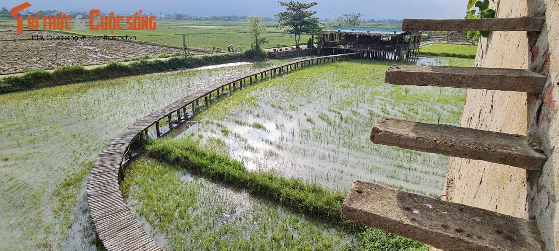 Check in lo gach cu bo hoang dep nhu phim-Hinh-9