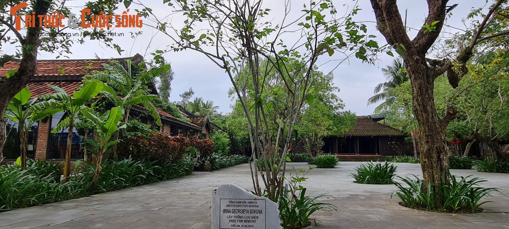 Tham lang lua Hoi An, cung kham pha nghe uom to det lua-Hinh-4