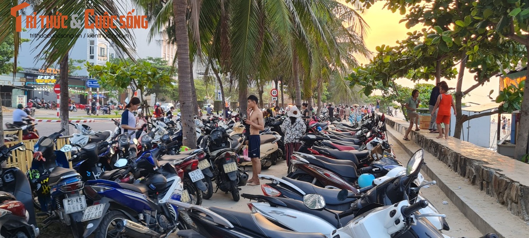 Nong do lua, dan Da Nang un un ra bien giai nhiet-Hinh-3