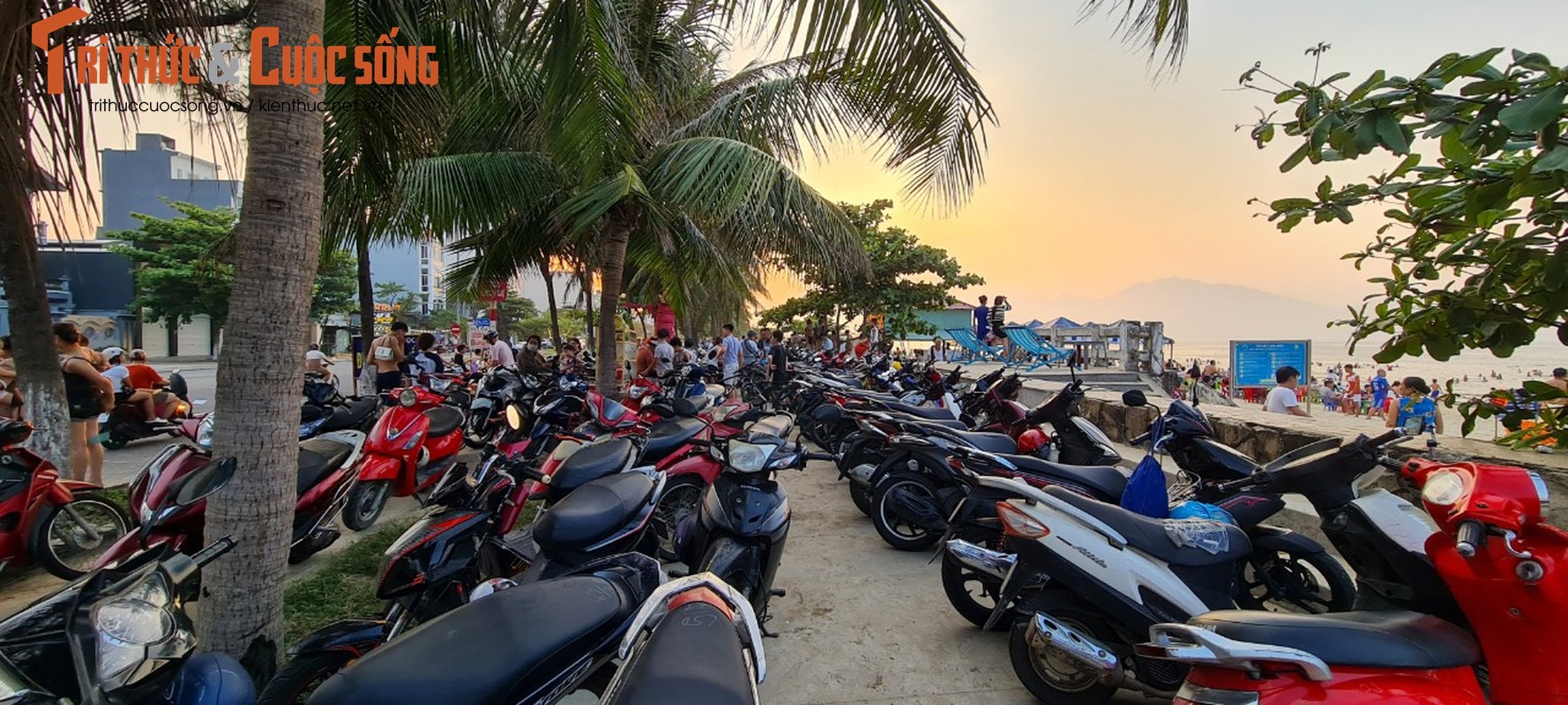 Nong do lua, dan Da Nang un un ra bien giai nhiet-Hinh-4