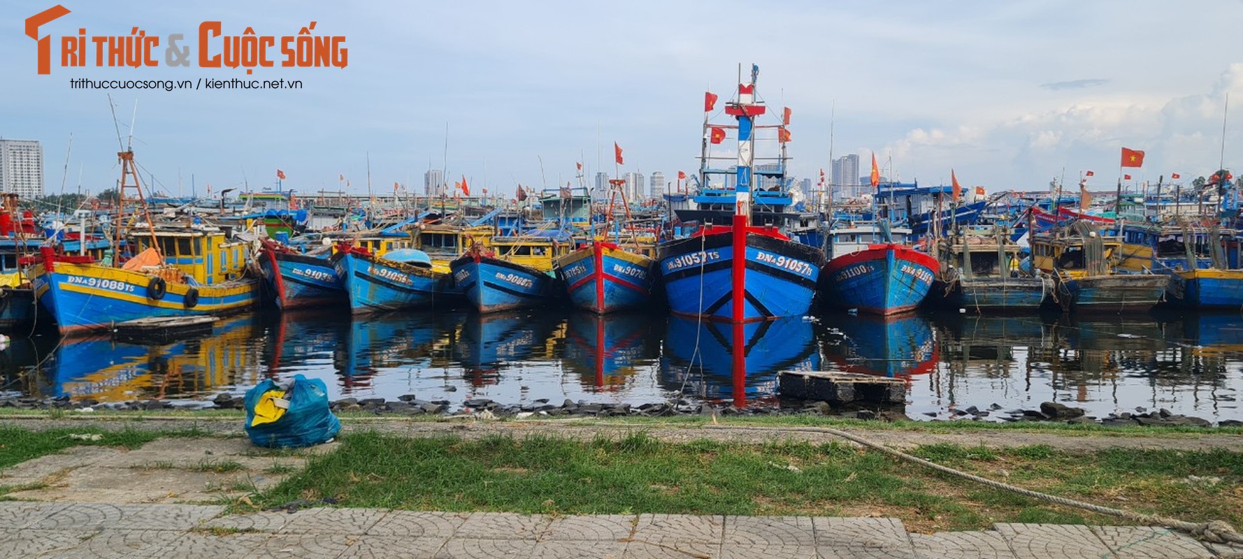 Da Nang: Muot mo hoi don rac quanh Au thuyen Tho Quang