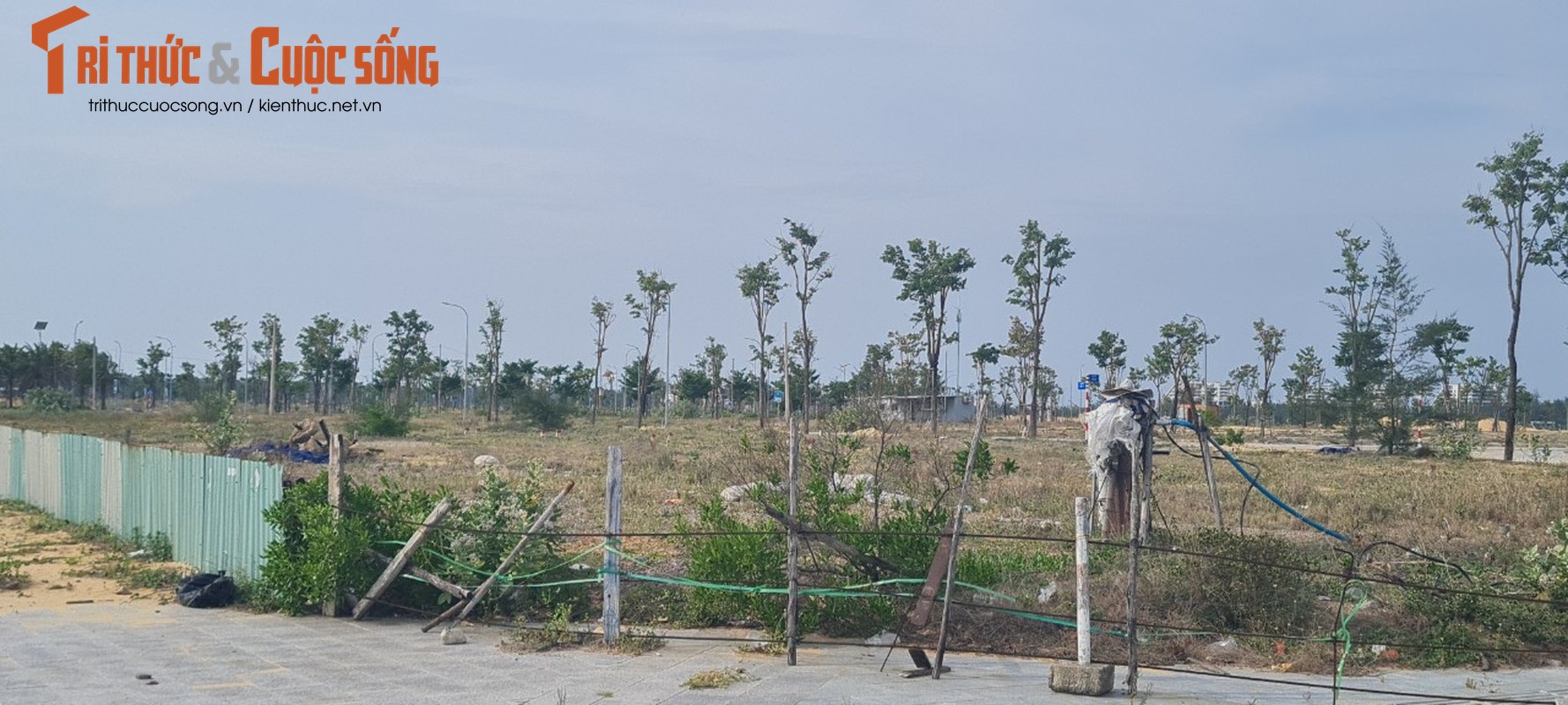 Binh Dinh: Loat du an BDS ven bien “sot ao” roi bo hoang-Hinh-7