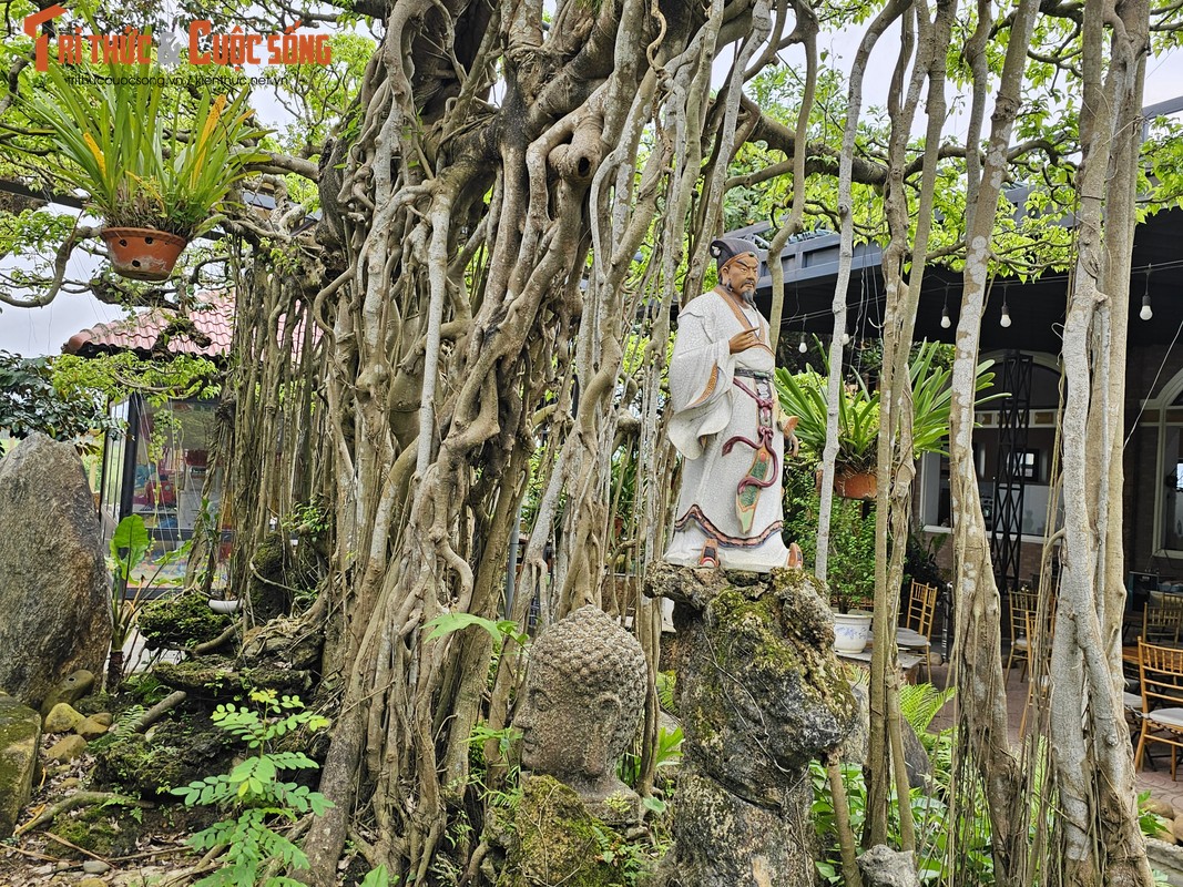 Can canh tuyet pham bonsai “con rong Chau A” tien ty co 1-0-2-Hinh-4