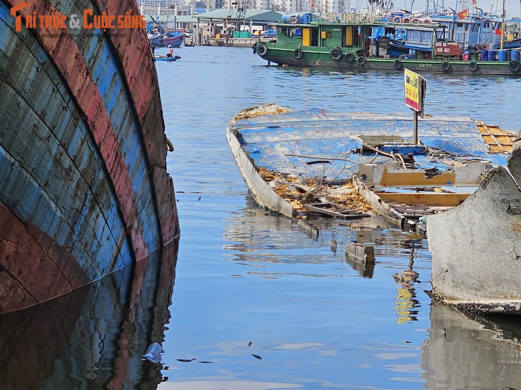 Vinh Man Quang nhech nhac, bi bua vay boi du loai rac-Hinh-7