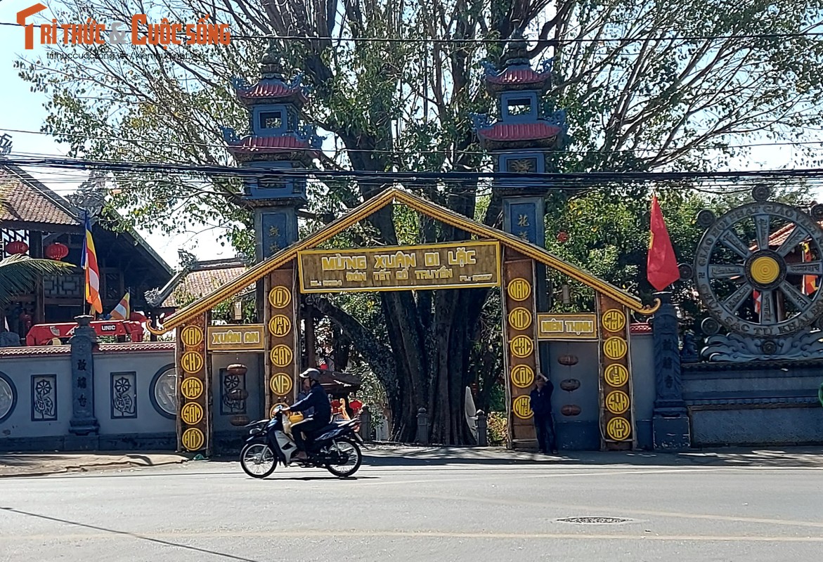 View - 	Sắc xuân ở ngôi Chùa cuối cùng tại Việt Nam được phong Sắc tứ
