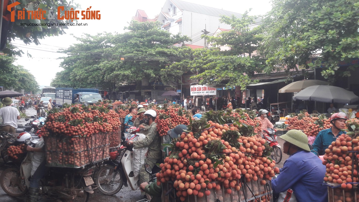 Nguoi dan Luc Ngan do xo di ban vai, duong un tac hang cay so-Hinh-2