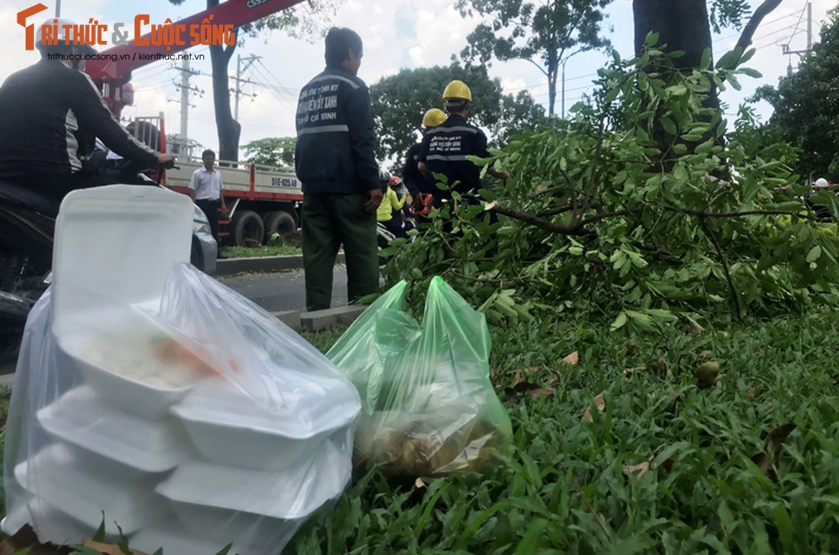 Ngo ngang canh don ha hang cay tren duong &quot;lang man&quot; nhat TPHCM-Hinh-5