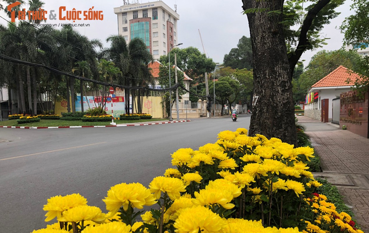 Ngo ngang duong pho Sai Gon ngay dau nghi Tet Ky Hoi-Hinh-8