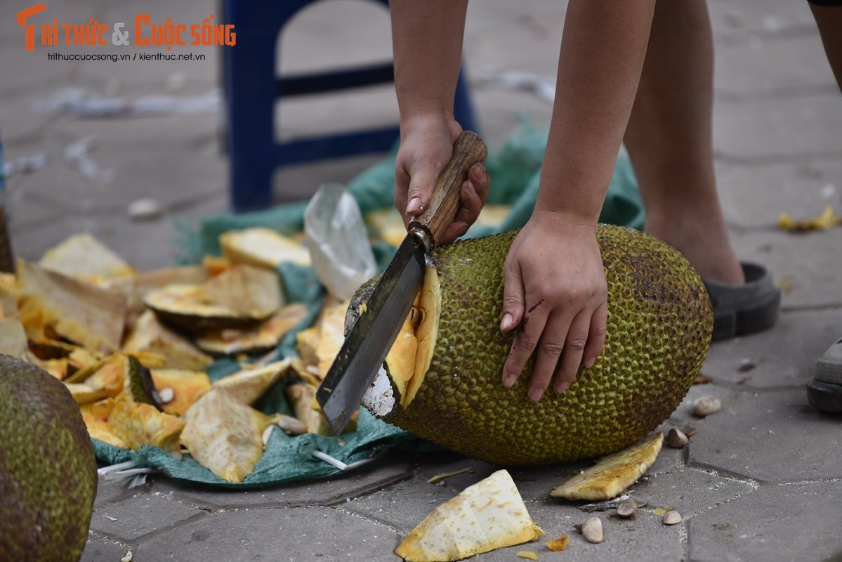 Un tac cua khau, hang chuc tan mit quay dau ve Ha Noi cho 