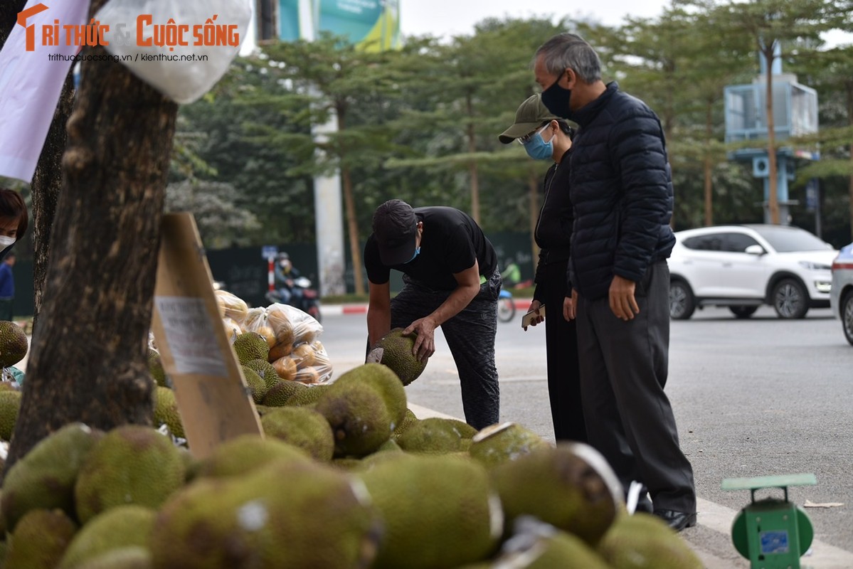 Un tac cua khau, hang chuc tan mit quay dau ve Ha Noi cho 