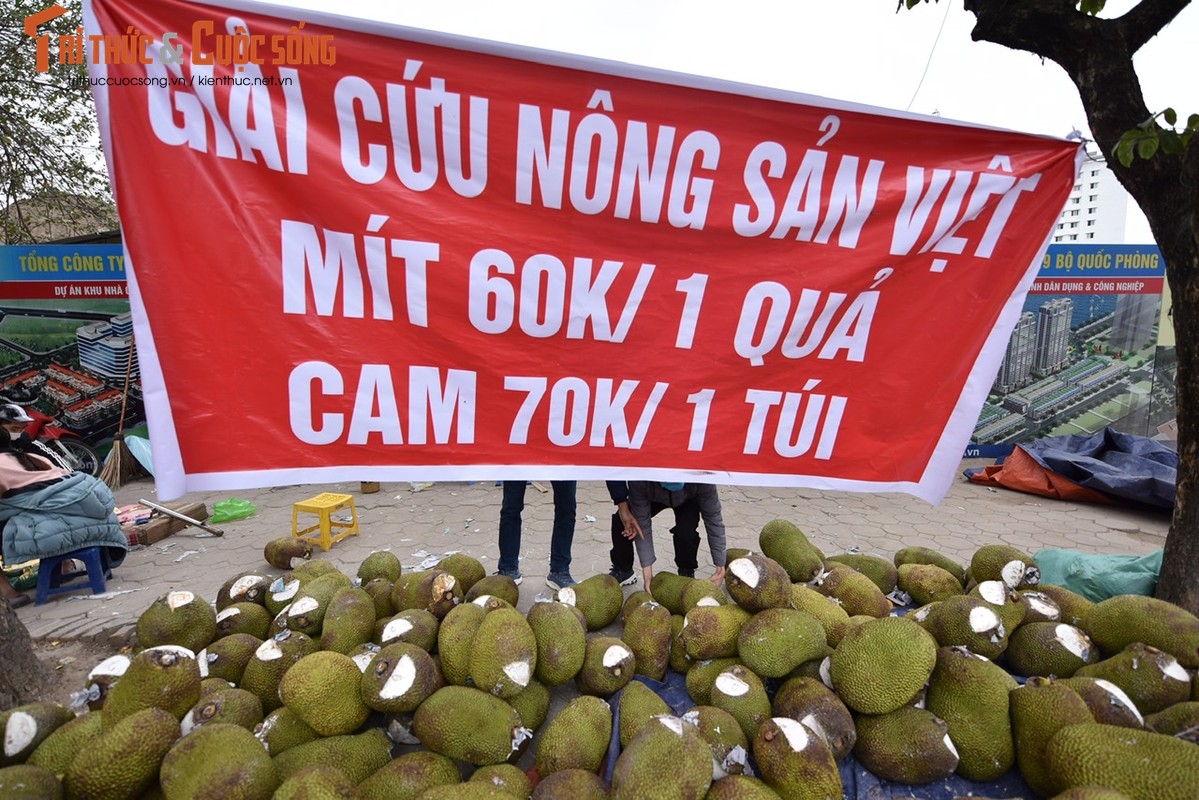 Un tac cua khau, hang chuc tan mit quay dau ve Ha Noi cho 