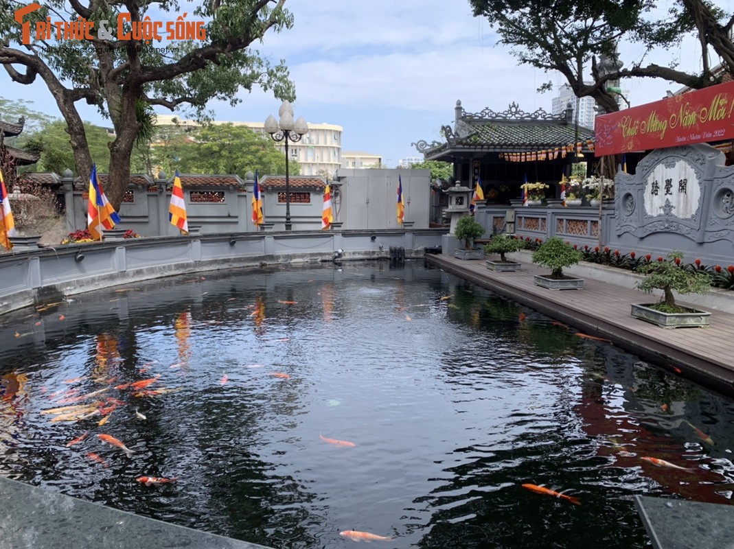 Nam thanh, nu tu den Chua Ha cau duyen trong ngay le Valentine