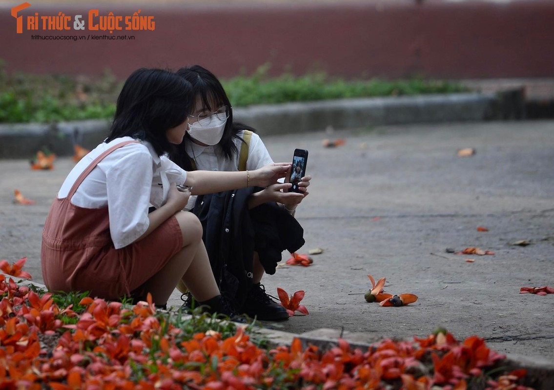 Tan ngam cay gao “sieu khung” duoc dua vao tour du lich Ha Noi-Hinh-4