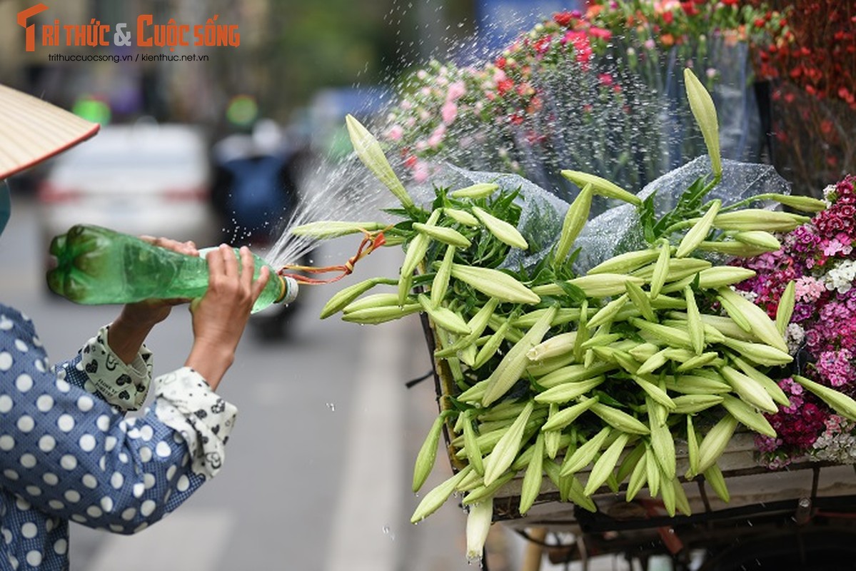 Loa ken dau mua bung sang pho phuong Ha Noi-Hinh-10