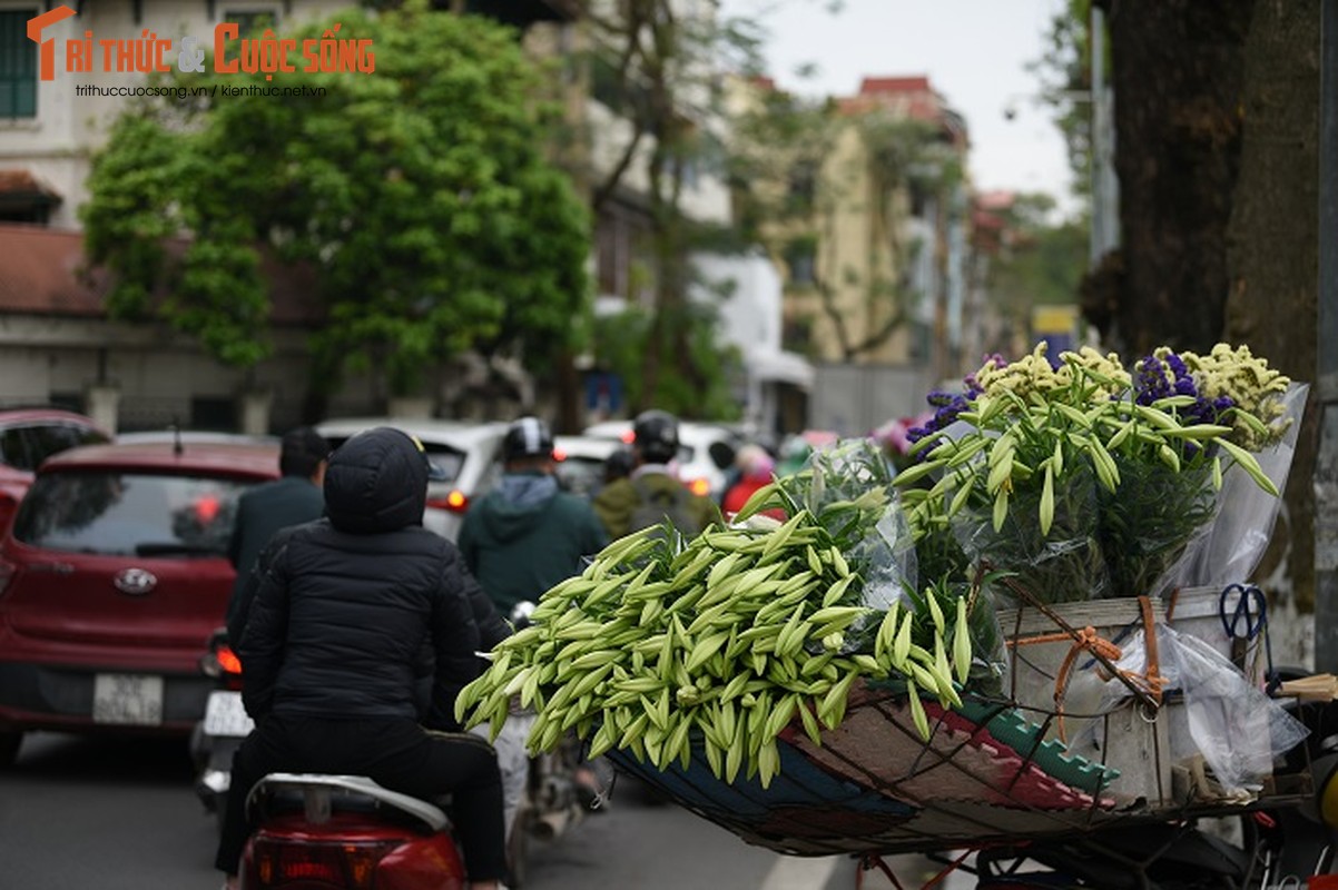 Loa ken dau mua bung sang pho phuong Ha Noi