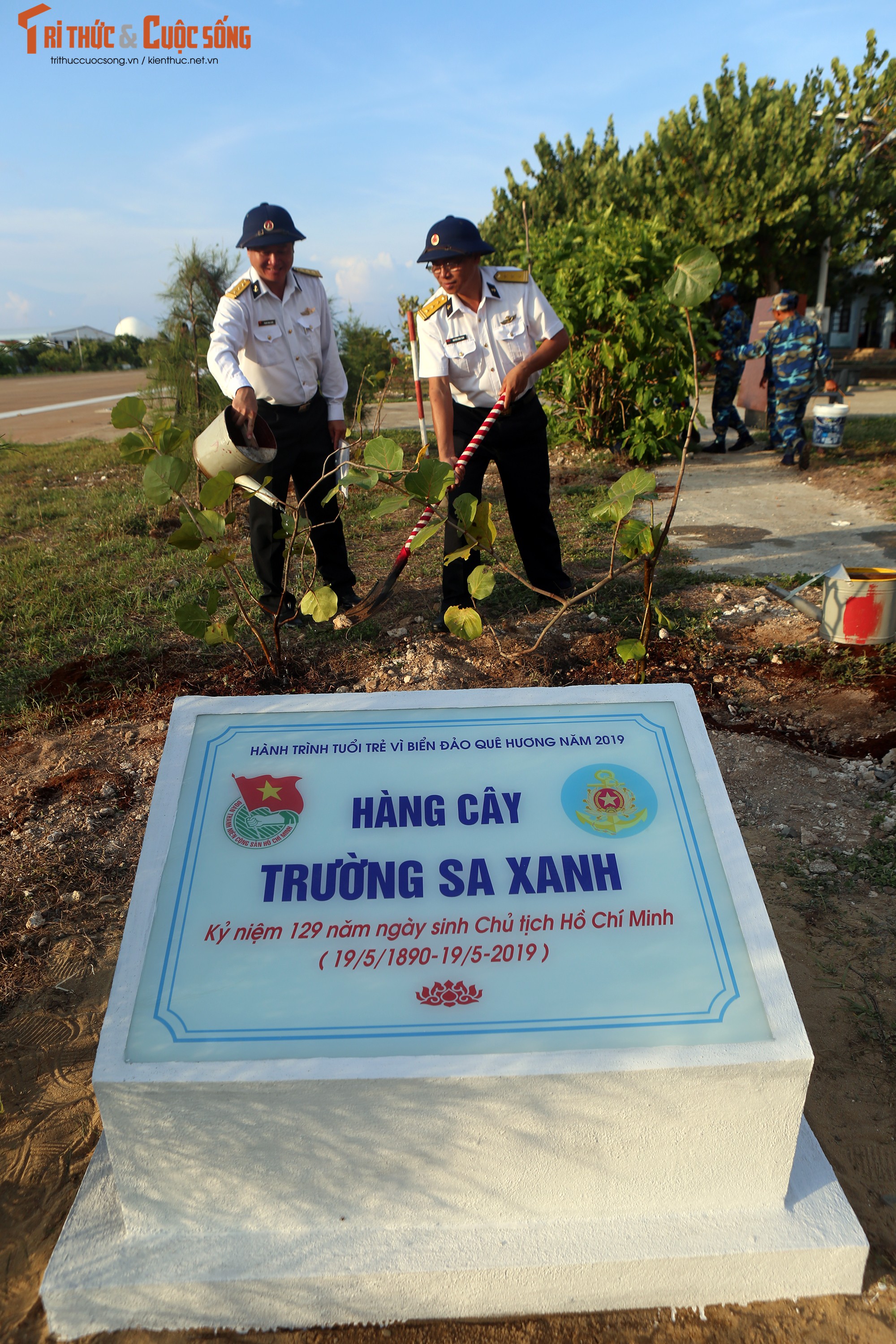 De Truong Sa khong chi xanh, dep ma con dom hoa, ket trai-Hinh-5