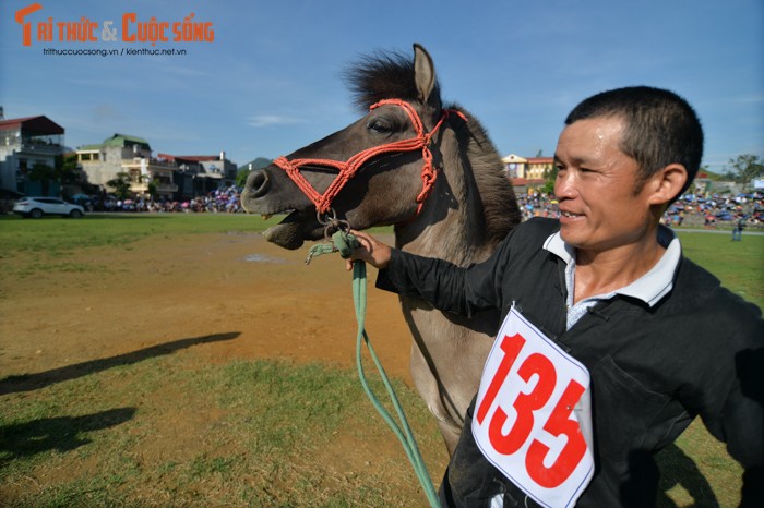 Ngam nhung chu ngua sieu cute tai hoi dua ngua Bac Ha-Hinh-6