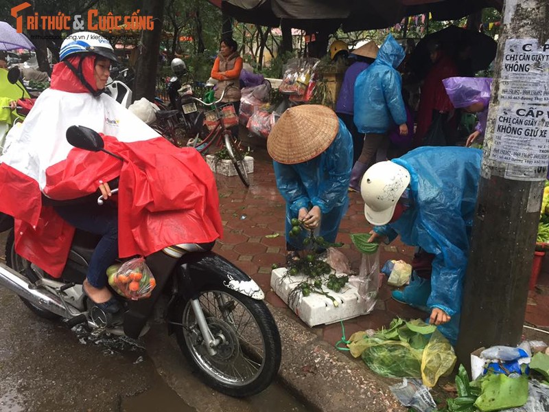 Nguoi Ha Noi doi mua ret sam le cung ram cuoi cung nam 2016-Hinh-10