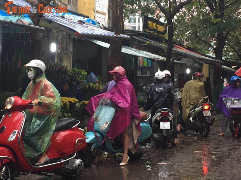 Nguoi Ha Noi doi mua ret sam le cung ram cuoi cung nam 2016-Hinh-11