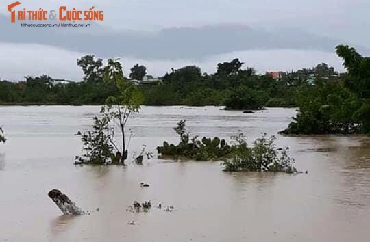 Hinh anh nguoi dan Ninh Thuan vat lon trong nuoc lu