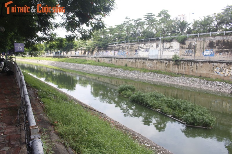 Ngo ngang nuoc song To Lich den ngom bong xanh trong la thuong-Hinh-12