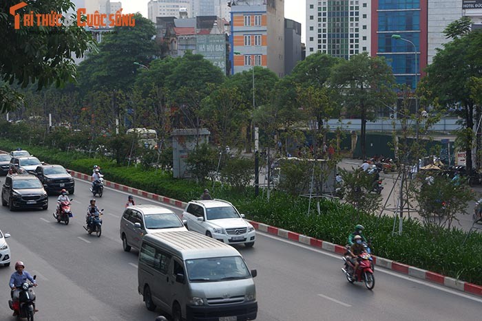 Phong la do o Ha Noi khong doi mau, chet heo sau gan 2 nam trong-Hinh-10