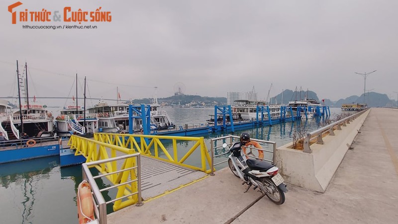 Quang Ninh: Ben cang diu hiu, tau thuyen nam im 1 cho mua COVID-19-Hinh-10