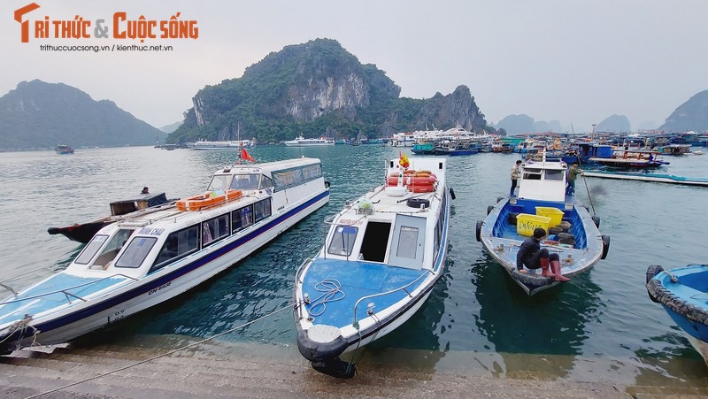 Quang Ninh: Ben cang diu hiu, tau thuyen nam im 1 cho mua COVID-19-Hinh-3