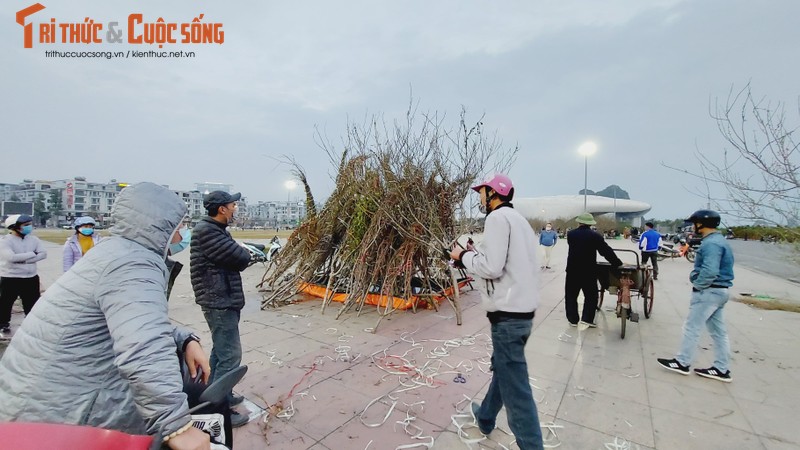 TP Ha Long van to chuc hoi cho hoa va ban phao hoa giao thua