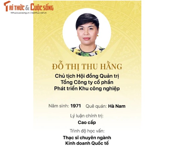 Chan dung 15 doanh nhan trung cu Dai bieu Quoc hoi khoa 15-Hinh-9