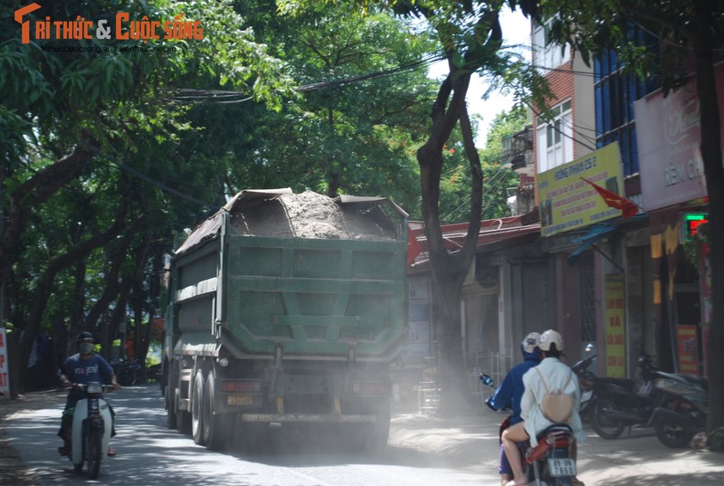 Ha Noi: Dan 