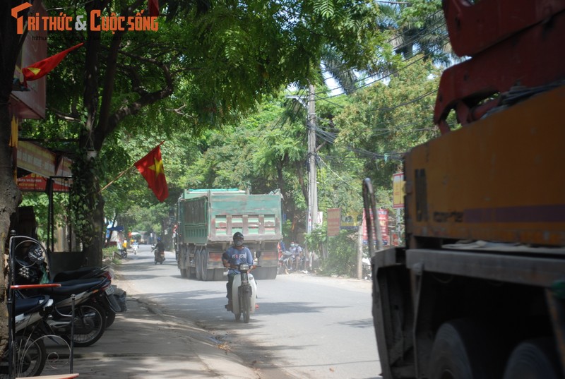 Ha Noi: Dan 