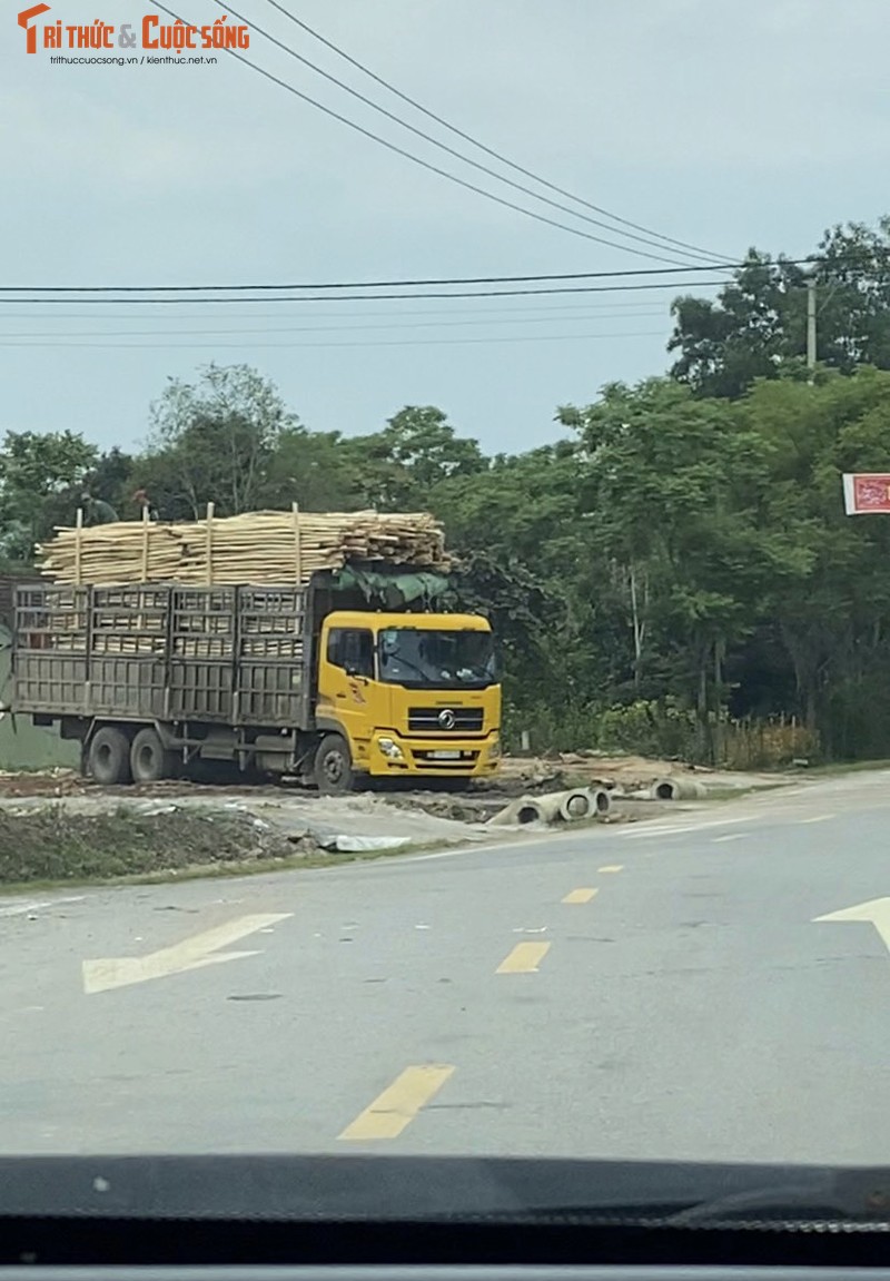 Quang Binh: Tram can trai phep ngang nhien hoat dong ben Quoc lo 12C-Hinh-3