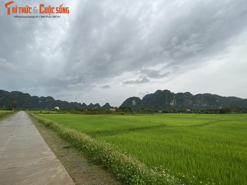 Doc dao nhung ngoi nha phao noi vung “ron lu” Quang Binh