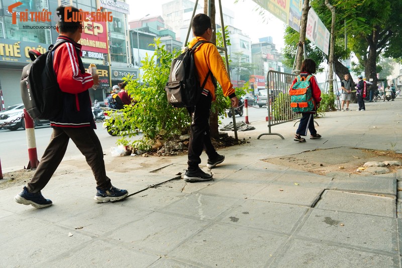 Via he Ha Noi moi thay da tu nhien da hong-Hinh-12