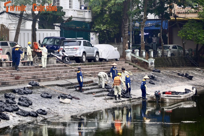 Ha Noi: Ca lai chet hang loat o ho Hoang Cau do soc nhiet