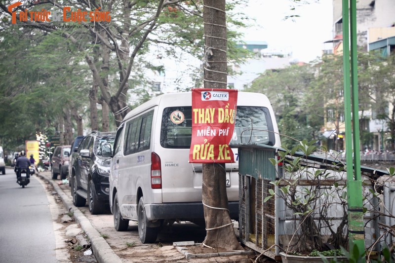 Ha Noi: Via he hai ben bo song Set bi chiem dung nghiem trong-Hinh-8