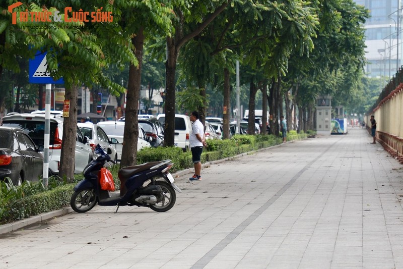 Ha Noi: Dat tru da tren via he, du luan phan ung the nao?-Hinh-4