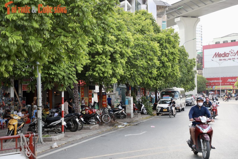 Ha Noi: Ho Rua bi lan chiem nhieu nam, nhung van khong xu ly-Hinh-3