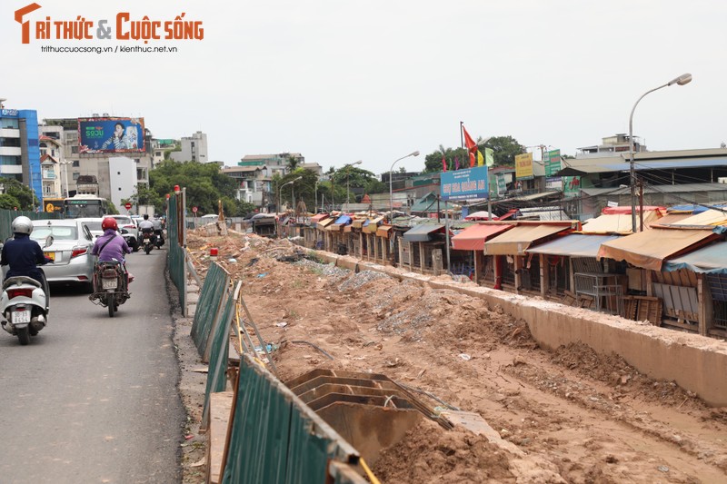 Ha Noi: Da vao mua mua lu, de huu Hong van cham tien do-Hinh-10