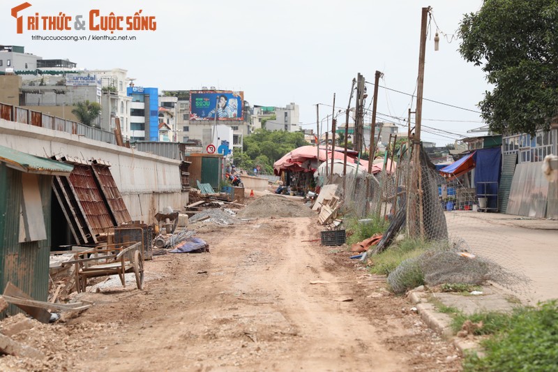 Ha Noi: Da vao mua mua lu, de huu Hong van cham tien do-Hinh-11