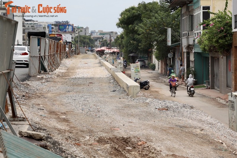 Ha Noi: Da vao mua mua lu, de huu Hong van cham tien do-Hinh-12