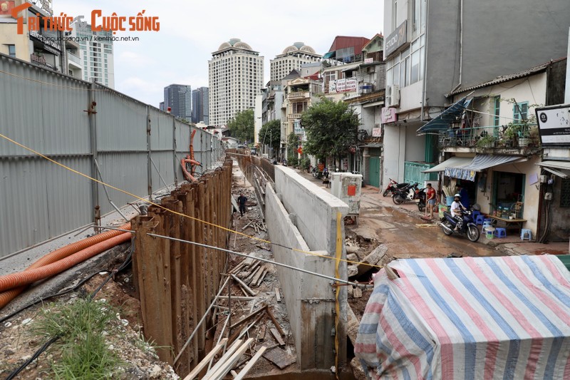 Ha Noi: Da vao mua mua lu, de huu Hong van cham tien do-Hinh-4