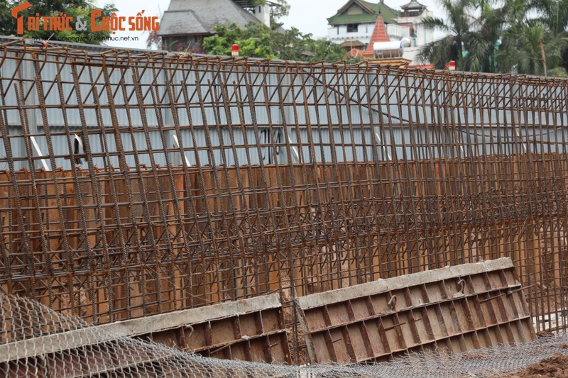 Ha Noi: Da vao mua mua lu, de huu Hong van cham tien do-Hinh-6