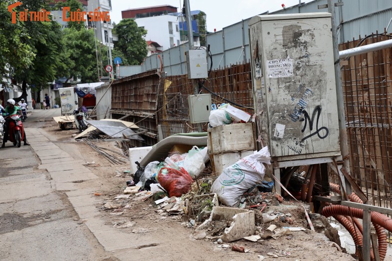 Ha Noi: Da vao mua mua lu, de huu Hong van cham tien do-Hinh-9