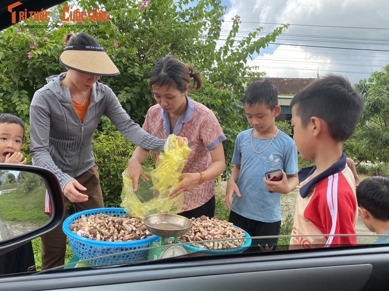 Ha Tinh: Nam tram vao mua, nguoi dan hao huc len rung-Hinh-3